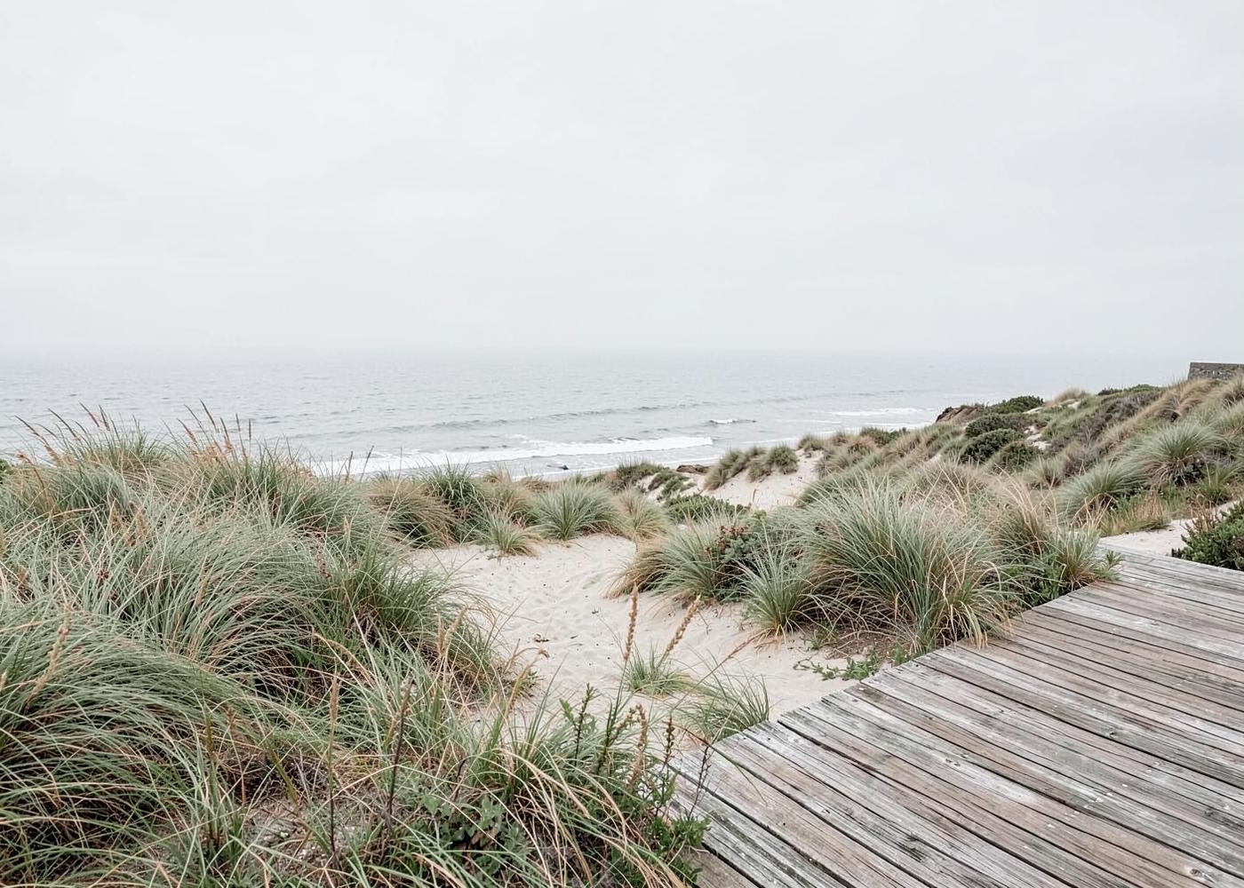 Dune House — coastal garden in Nantucket, MA